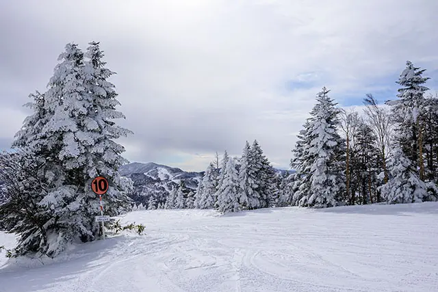 志賀高原 焼額山スキー場